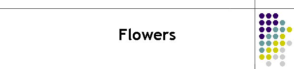 Flowers